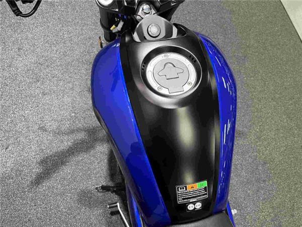 2024 Yamaha XSR 125 Yellow