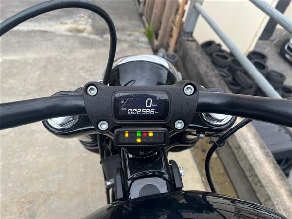 Harley-Davidson Softail-Cruiser