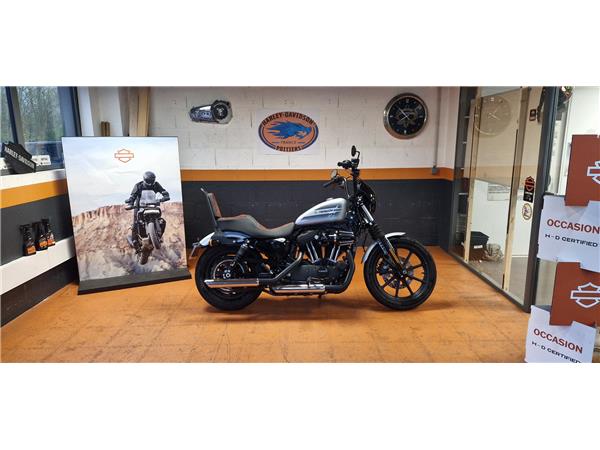 2019 HARLEY-DAVIDSON IRON