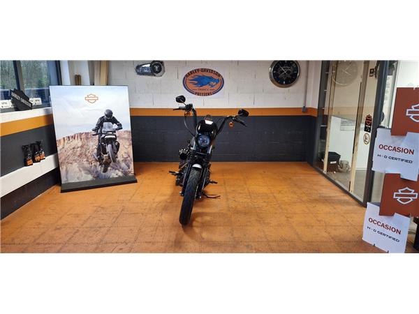 2019 HARLEY-DAVIDSON IRON