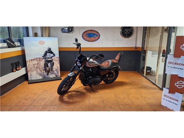 2019 HARLEY-DAVIDSON IRON