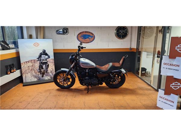 2019 HARLEY-DAVIDSON IRON