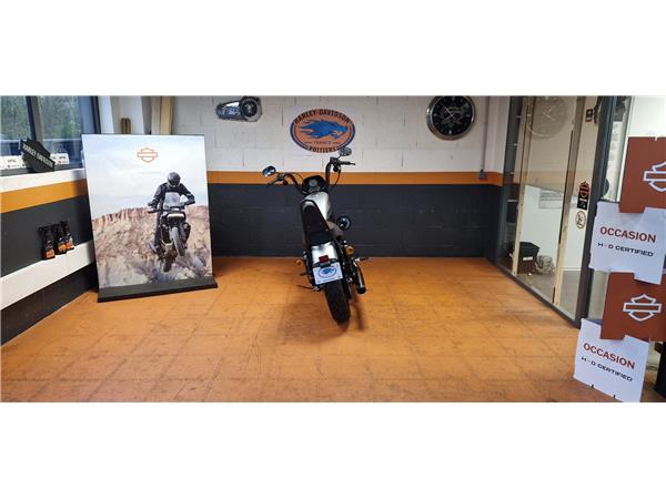 2019 HARLEY-DAVIDSON IRON