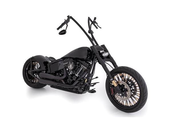 2015 harley-davidson FLSS Softail Slim S110 ABS