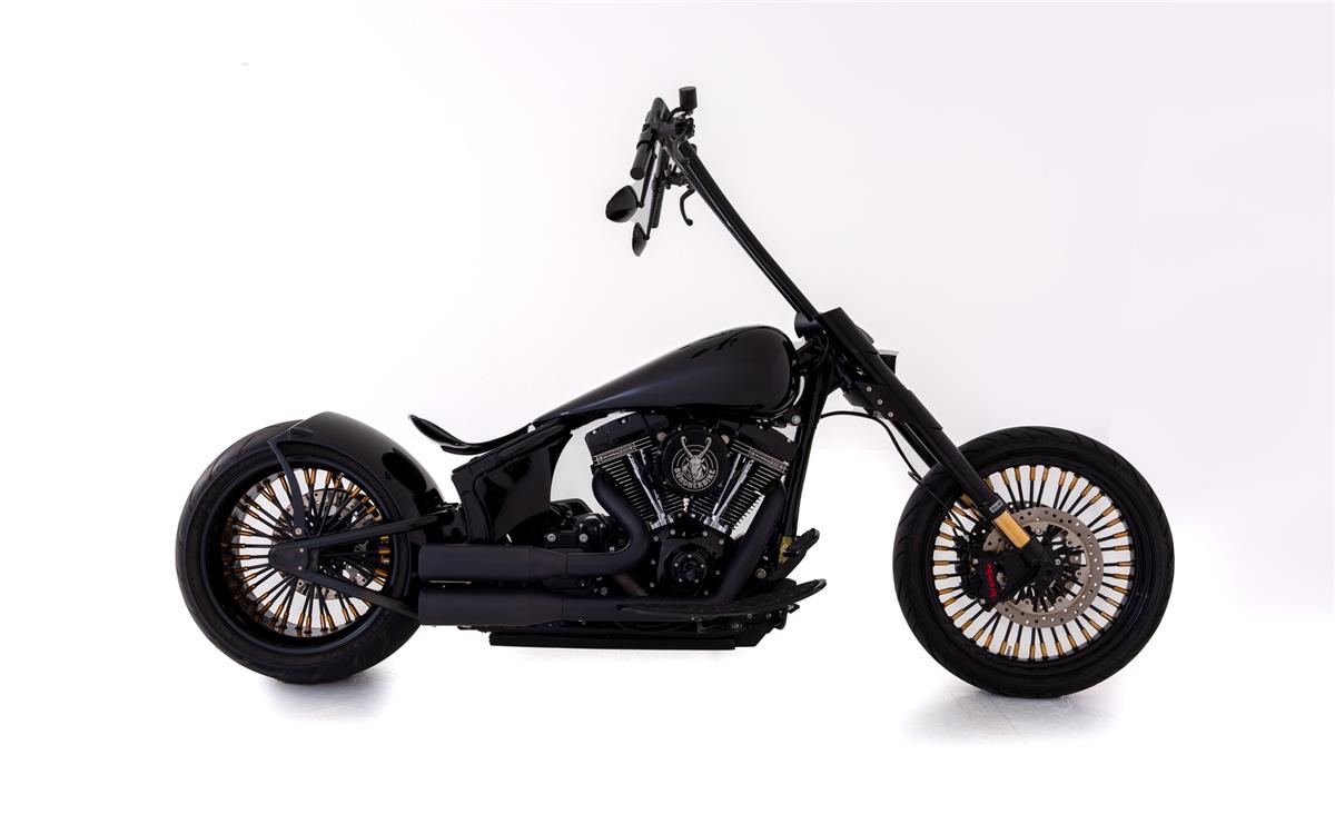 2015 harley-davidson FLSS Softail Slim S110 ABS
