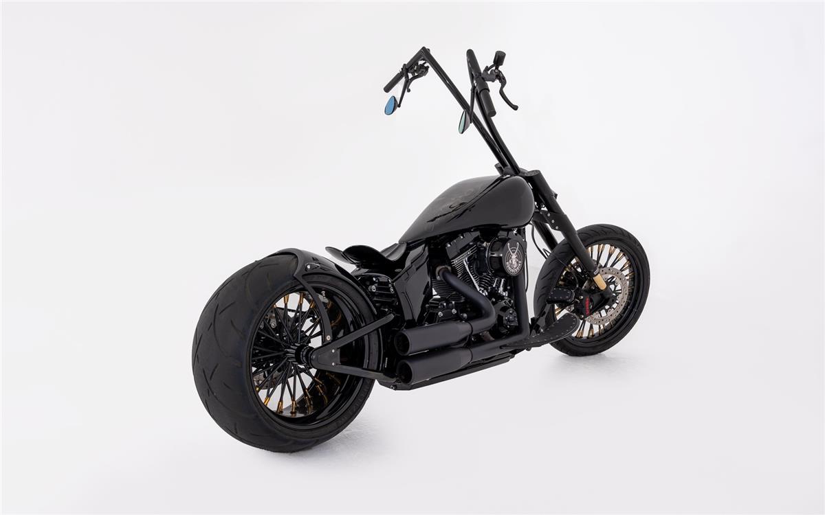 2015 harley-davidson FLSS Softail Slim S110 ABS