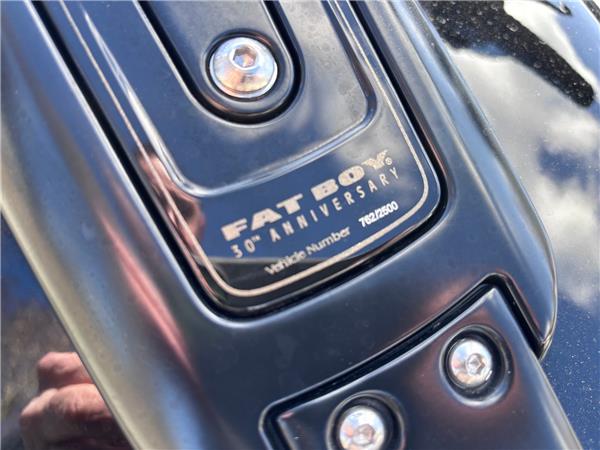 2020 HARLEY-DAVIDSON SOFTAIL FLFBS FAT BOY 114