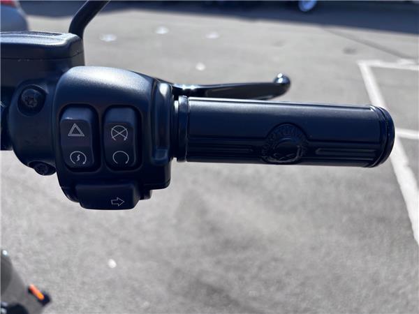 2020 HARLEY-DAVIDSON SOFTAIL FLFBS FAT BOY 114