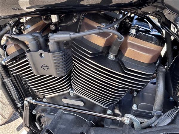 2020 HARLEY-DAVIDSON SOFTAIL FLFBS FAT BOY 114