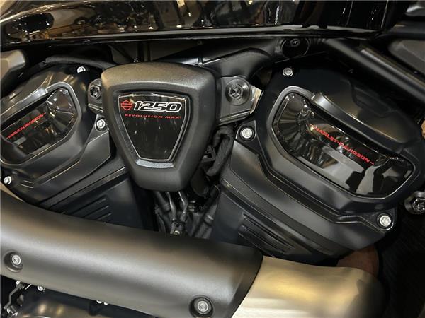 2025 Harley-Davidson Sportster