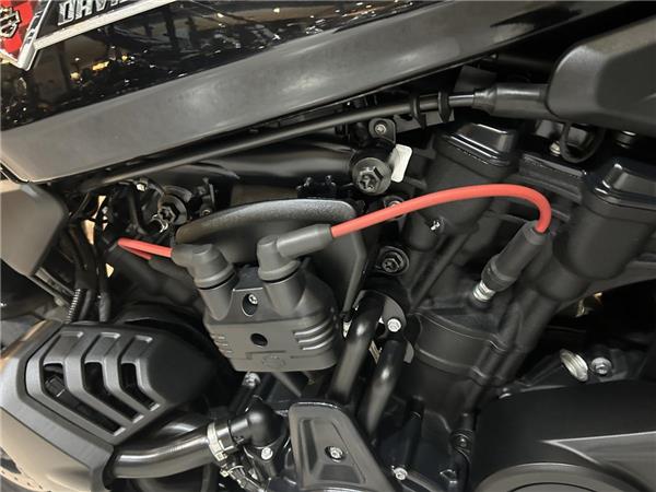 2025 Harley-Davidson Sportster