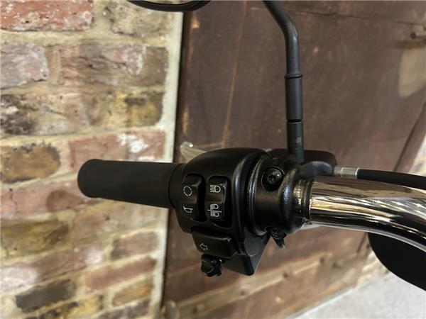 2024 Harley-Davidson Softail