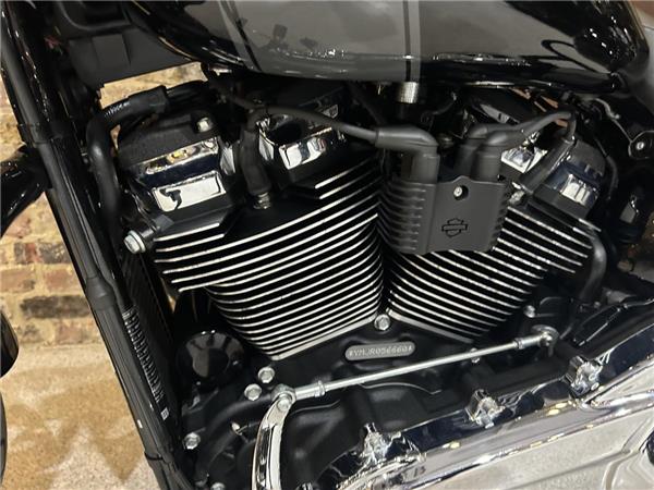 2024 Harley-Davidson Softail