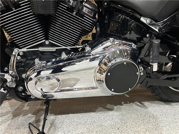 2024 Harley-Davidson Softail