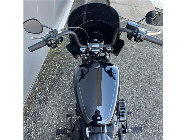 2019 Street Bob