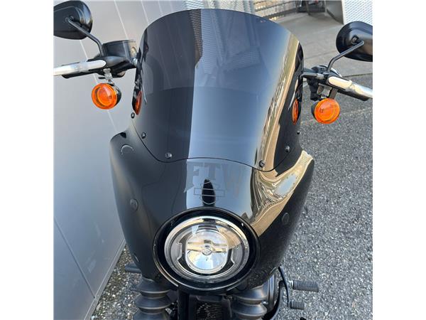 2019 Street Bob