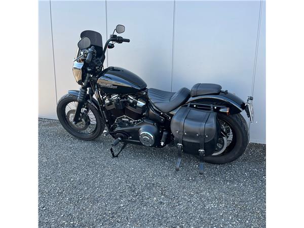 2019 Street Bob