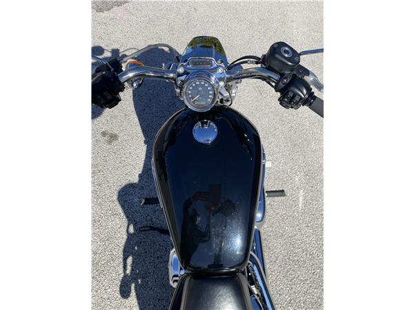 2015 HARLEY-DAVIDSON CUSTOM