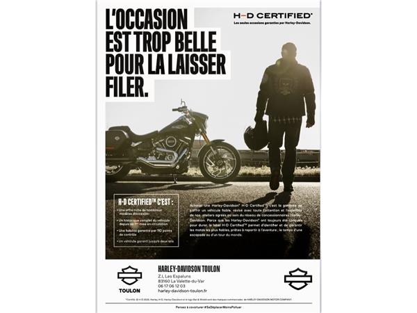 2015 HARLEY-DAVIDSON CUSTOM