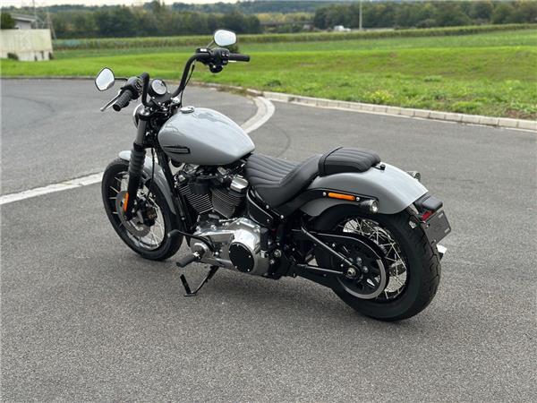 Softail Street Bob 