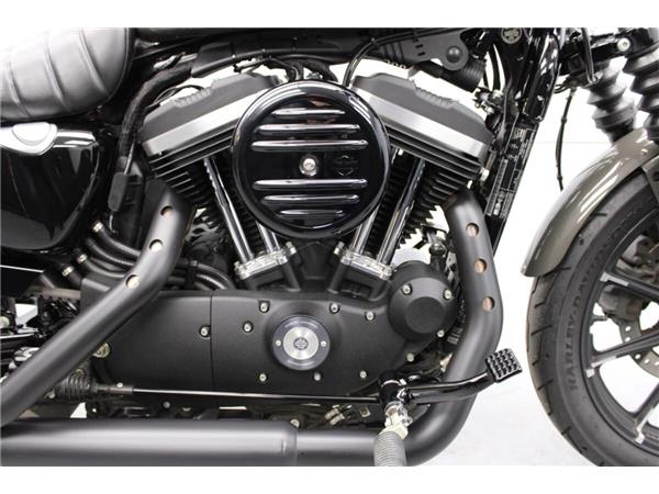 2019 Harley-Davidson Iron 883