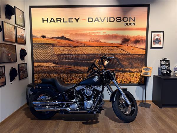 2017 HARLEY-DAVIDSON SLIM