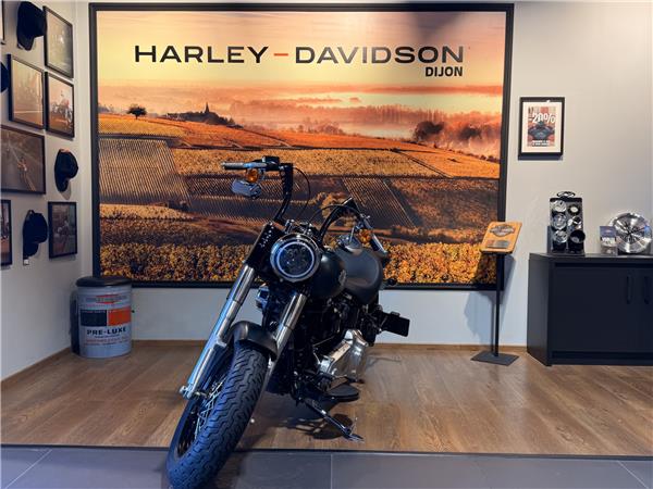 2017 HARLEY-DAVIDSON SLIM