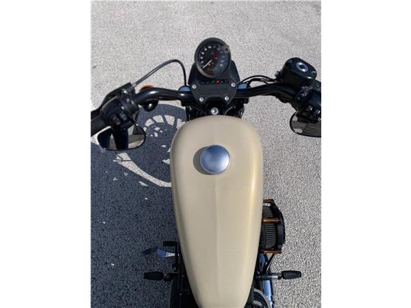 2013 HARLEY-DAVIDSON IRON