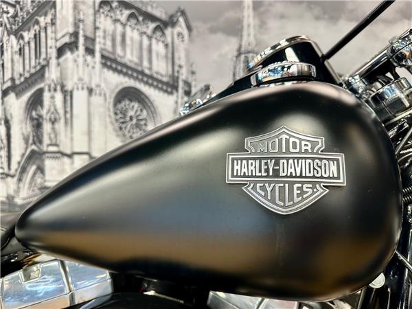 2013 HARLEY-DAVIDSON SLIM