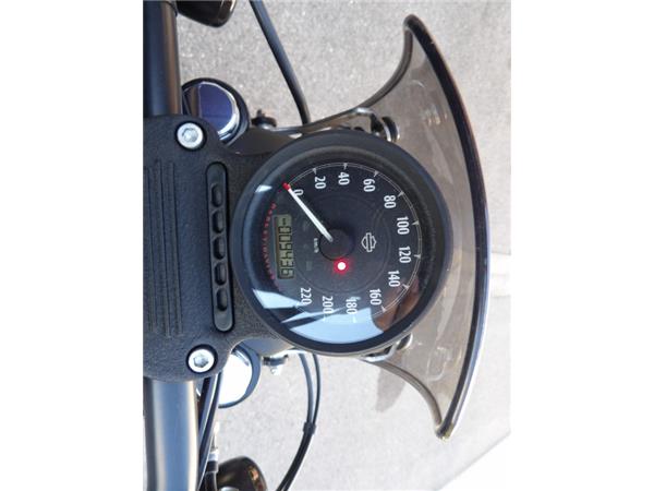 2020 HARLEY-DAVIDSON IRON