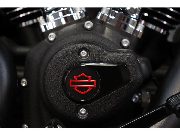 2025 HARLEY-DAVIDSON SOFTAIL FXLRS LOW RIDER S