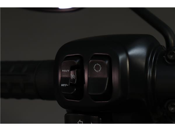 2025 HARLEY-DAVIDSON SOFTAIL FXLRS LOW RIDER S