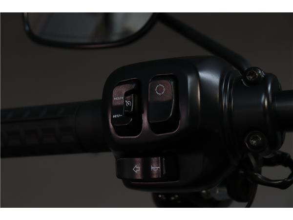 2025 HARLEY-DAVIDSON SOFTAIL FXLRS LOW RIDER S