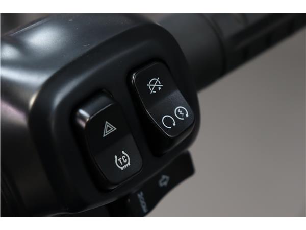 2025 HARLEY-DAVIDSON SOFTAIL FXLRS LOW RIDER S