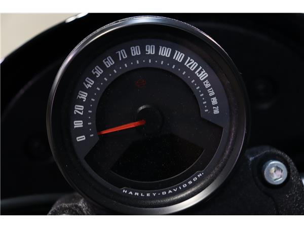 2025 HARLEY-DAVIDSON SOFTAIL FXLRS LOW RIDER S