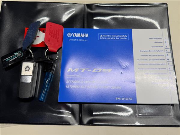 2025 YAMAHA MT-09 Y-AMT