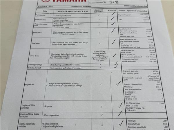 2025 YAMAHA MT-09 Y-AMT