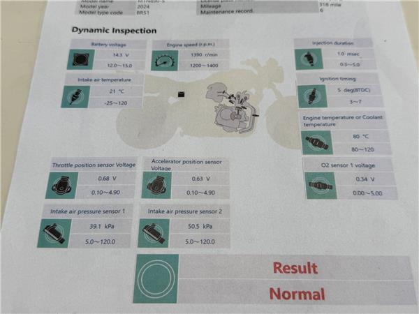 2025 YAMAHA MT-09 Y-AMT