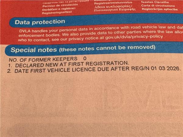 2025 YAMAHA MT-09 Y-AMT