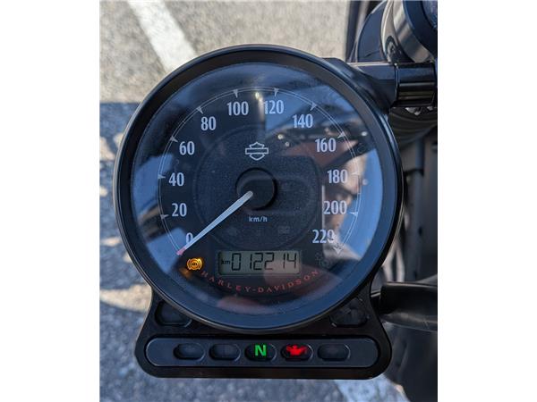 2014 HARLEY-DAVIDSON IRON