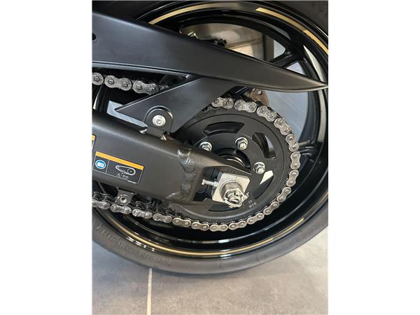 2024 Kawasaki Ninja 1100 SX