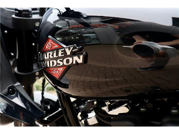 2025 HARLEY-DAVIDSON LOW RIDER ST