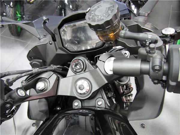 2025 Kawasaki Ninja 1100 SX