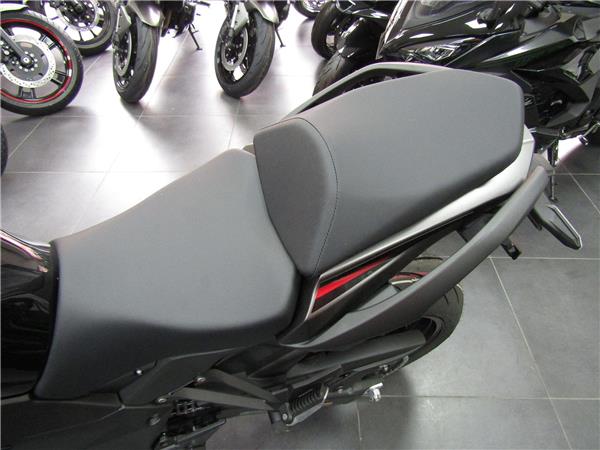 2025 Kawasaki Ninja 1100 SX