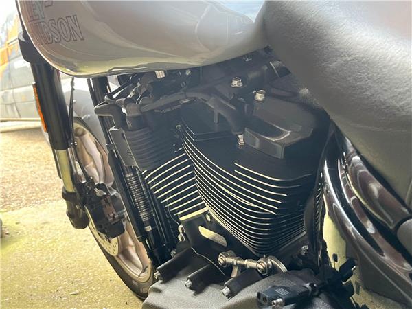 2024 Harley-Davidson Softail