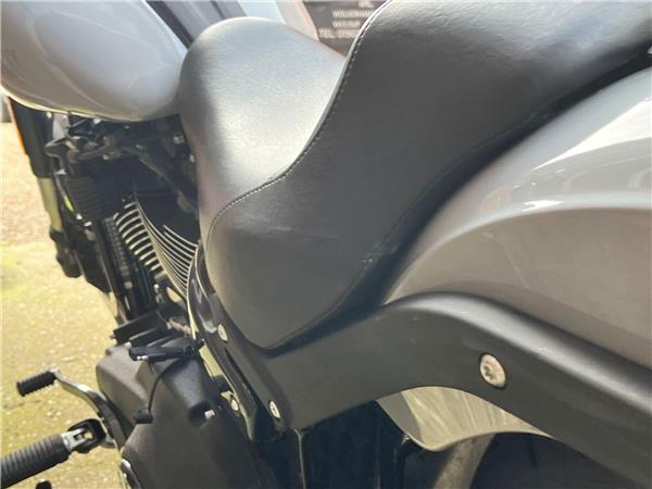 2024 Harley-Davidson Softail