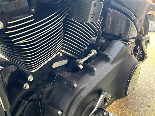 2024 Harley-Davidson Softail