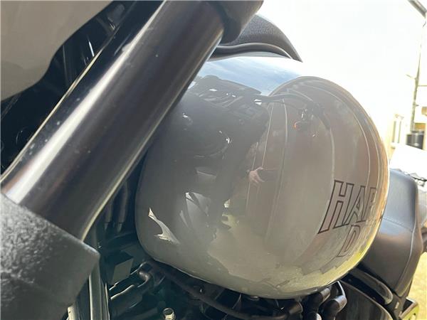 2024 Harley-Davidson Softail