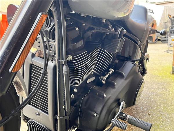 2024 Harley-Davidson Softail