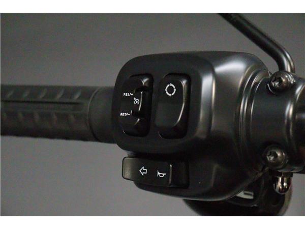 2025 HARLEY-DAVIDSON SOFTAIL FXLRS LOW RIDER S